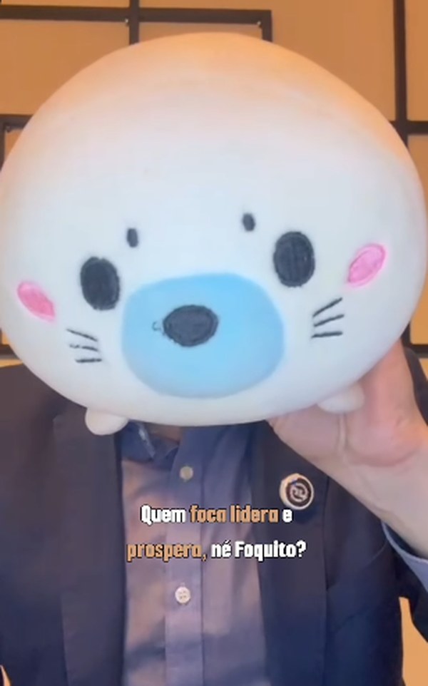 Foca de pelúcia diante do rosto
